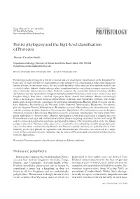 Protist Phylogeny and the High-Level Classification of Protozoa