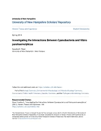 Investigating the Interactions Between Cyanobacteria and Vibrio Parahaemolyticus