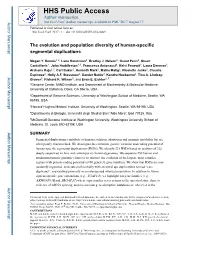 The Evolution and Population Diversity of Human-Specific Segmental Duplications