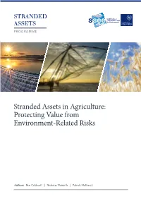 Stranded Assets in Agriculture: Protecting Value from Environment-Related Risks
