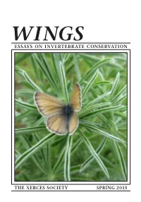 Essays on Invertebrate Conservation