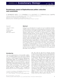 Evolutionary Stasis in Euphorbiaceae Pollen: Selection and Constraints