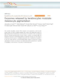 Exosomes Released by Keratinocytes Modulate Melanocyte Pigmentation