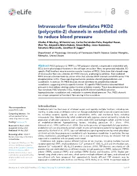 Intravascular Flow Stimulates PKD2 (Polycystin-2) Channels in Endothelial Cells to Reduce Blood Pressure