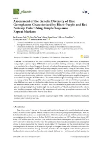 Assessment of the Genetic Diversity of Rice Germplasms Characterized by Black-Purple and Red Pericarp Color Using Simple Sequence Repeat Markers