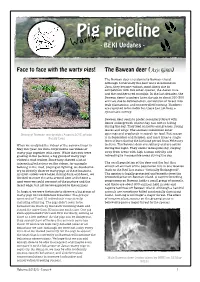BEKI Newsletter Vol. 2 Issue 4