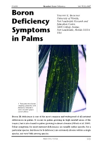 Boron Deficiency Symptoms in Palms