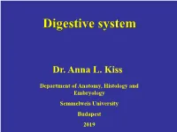 Digestive System