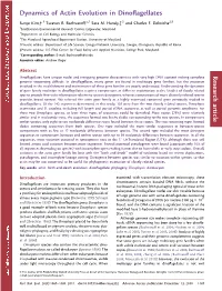 Dynamics of Actin Evolution in Dinoflagellates Research Article