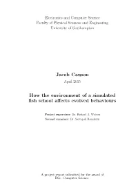Jacob Causon How the Environment of a Simulated