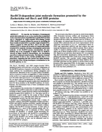 Recbcd-Dependent Joint Molecule Formation Promoted by The