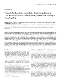 Time of Day Regulates Subcellular Trafficking, Tripartite Synaptic Localization, and Polyadenylation of the Astrocytic Fabp7 Mrna