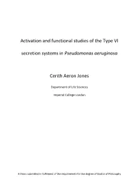 Activation and Functional Studies of the Type VI Secretion Systems in Dissertation Pseudomonas Aeruginosa