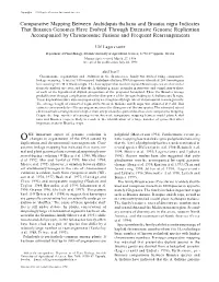 Comparative Mapping Between Arabidopsis Thaliana and Brassica Nigra Indicates That Brassica Genomes Have Evolved Through Extensi