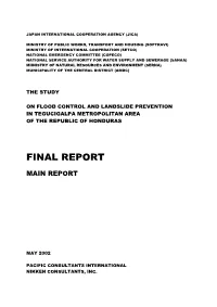 Final Report