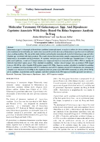 Molecular Taxonomy of Galactomyces Spp. and Dipodascus Capitatus