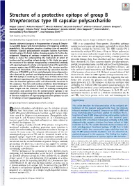 Structure of a Protective Epitope of Group B Streptococcus Type III Capsular Polysaccharide