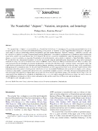 The Neanderthal ''Chignon'': Variation, Integration, and Homology