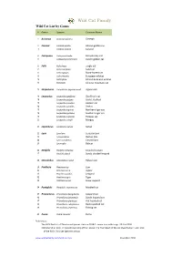 Wild Cat List by Common Name