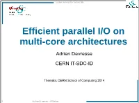 Efficient Parallel I/O on Multi-Core Architectures
