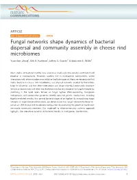 Fungal Networks Shape Dynamics of Bacterial Dispersal and Community Assembly in Cheese Rind Microbiomes