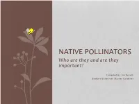 NATIVE POLLINATORS Who Are They and Are They Important?