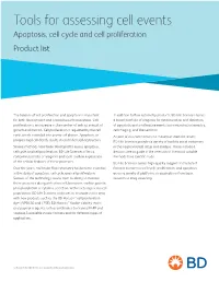 Apoptosis Product List