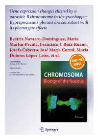 Gene Expression Changes Elicited by a Parasitic B Chromosome in the Grasshopper Eyprepocnemis Plorans Are Consistent with Its Phenotypic Effects