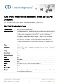 Anti-JAM3 Monoclonal Antibody, Clone 2E4 (CAB- 3683MH) This Product Is for Research Use Only and Is Not Intended for Diagnostic Use