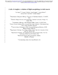Evolution of Flight Morphology in Stick Insects