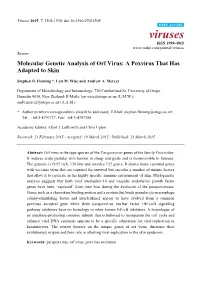 Molecular Genetic Analysis of Orf Virus: a Poxvirus That Has Adapted to Skin