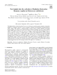 New Insights Into the Activation of Radiation Desiccation Response Regulon in Deinococcus Radiodurans
