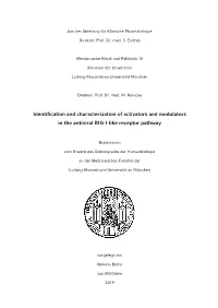 Bothe Viktoria.Pdf