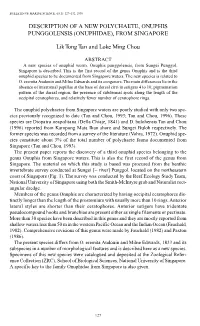 Description of a New Polychaete, &lt;I&gt;Onuphis Punggolensis&lt;/I&gt;