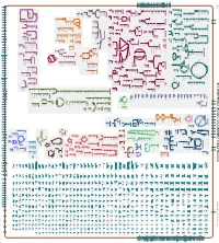 Generated by SRI International Pathway Tools Version 25.0, Authors S