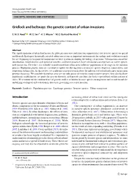 Gridlock and Beltways: the Genetic Context of Urban Invasions