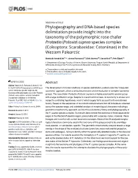 Phylogeography and DNA-Based Species
