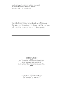 Establishment and Investigation of Tendon-Derived Cell Lines Immortalized by the Human Telomerase Reverse Transcriptase Gene