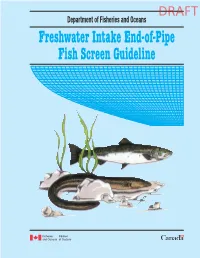 Freshwater Intake End-Of-Pipe Fish Screen Guideline