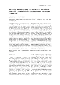 Karyology, Phytogeography, and the Origin of Intraspecific Karyotypic Variation in Zamia Paucijuga and Z