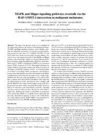 MAPK and Hippo Signaling Pathways Crosstalk Via the RAF-1/MST-2 Interaction in Malignant Melanoma