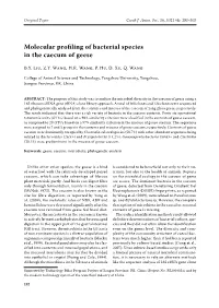 Molecular Profiling of Bacterial Species in the Caecum of Geese