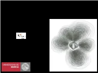Neutron Star Oscillations: Dynamics & Gravitational Waves
