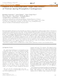 Pannier Is a Transcriptional Target and Partner of Tinman During