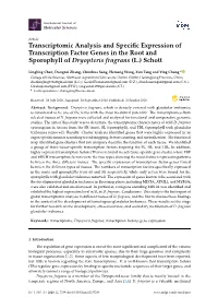Transcriptomic Analysis and Specific Expression of Transcription Factor