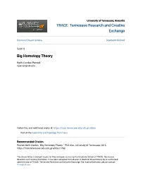 Big Homotopy Theory