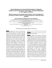 Remote Monitoring of Internal Bleeding Based on Magnetic Induction and Cellular Phone Technology: a Potential Application in Poor Regions in México