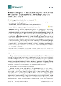 Research Progress of Betalain in Response to Adverse Stresses and Evolutionary Relationship Compared with Anthocyanin