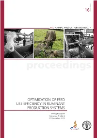Optimization of Feed Use Efficiency in Ruminant Production Systems