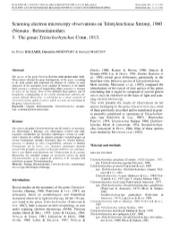 Scanning Electron Microscope Observations on The
